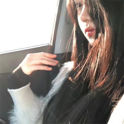 小犬与女孩